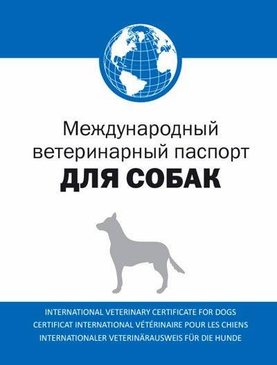Купить ветеринарный паспорт для собаки в Москве недорого
